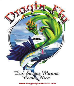 Dragin Fly Logo