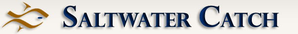 Morehead Marine Logo