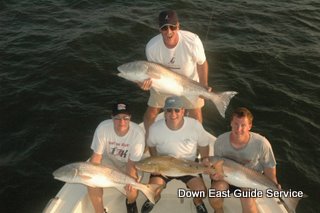 red drum or redfish in Neuse River and Pamlico Sound